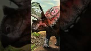 Utahceratops vs Torosaurus Mapusaurusroseae [upl. by Naols]