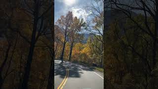 Scenic drive through the Great Smoky Mountain National Park [upl. by Nivlek]