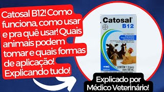 Catosal B12 Saiba tudo sobre esse suplemento pra quê serve como age e quais vias de aplicação [upl. by Gow]