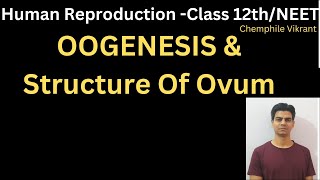 OOGENESIS amp Structure Of Ovum chemphilevikrant [upl. by Gnov112]