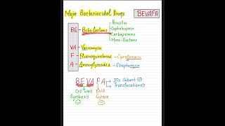 Antimicrobial DrugsMajor Bactericidal Drugs BEVAFA antimicrobial antibiotics neetpg fmge [upl. by Laroy]