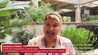 Interviews  Road to COP16 [upl. by Candis]