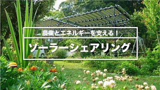 農業とエネルギーを支える◉ソーラーシェアリング（6分55秒） [upl. by Kerat]