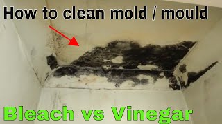 How to remove and kill mold  Bleach vs vinegar [upl. by Eckardt]