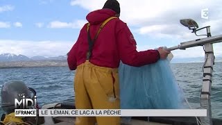 SUIVEZ LE GUIDE  Le Léman ce lac a la pêche [upl. by Eppilihp]