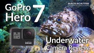 GoPro Hero 7 Underwater Camera Review [upl. by Shugart68]