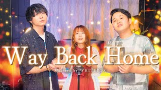 【名曲】Way Back Home  SHAUN Japanese Lyric ver by SG covered by WHITEBOX [upl. by Dumah351]