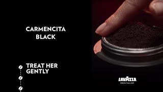 Carmencita Black  Treat her gently  Lavazza [upl. by Aderfla448]