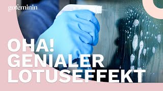 Genialer Lotuseffekt Deshalb solltest du deine Dusche mit Klarspüler reinigen [upl. by Noxid52]