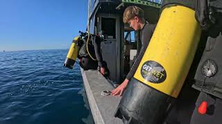 Whitianga dive day 2 quotFishy asquot [upl. by Dubois]