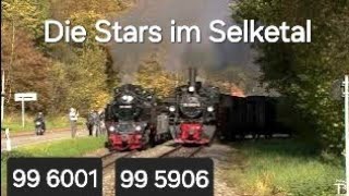 Zwei Stars im Selketal  Dampflok 99 5906 amp 99 6001 [upl. by Kcirdneked393]