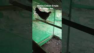 My Chicken Pen setup for breeders [upl. by Yarg]