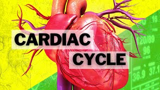 The Cardiac Cycle [upl. by Wappes]