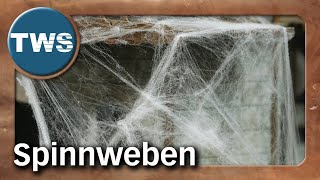 Tutorial Spinnweben amp Spinnennetze  basteln selber machen Halloween TabletopGelände TWS [upl. by Buine]