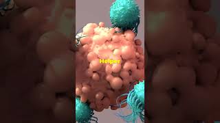 Adaptive Immunity explained  Part 3 Immune System facts science shorts [upl. by Odlabu]