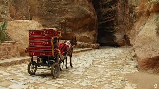 Petra And The Lost Kingdom Of The Nabataeans  Documentary [upl. by Nediarb596]