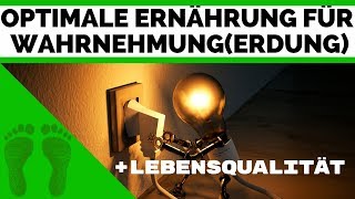 Optimale Ernährung für LebensqualitätampWahrnehmung  Erdung stärker spüren Teil 2  Earthing deutsch [upl. by Adlesirc]