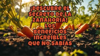 ¡Descubre el Secreto de la Zanahoria Los Beneficios Increíbles que No Sabías [upl. by Lacsap]