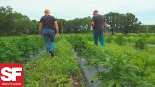 Farmer Grows Hemp for the First Time for CBD Oil  Agronomy Spotlight  Successful Farming [upl. by Yrgoerg]