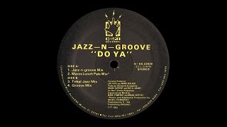 JazzNGroove  Do Ya Groove Mix [upl. by Rimhsak]