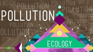 Pollution Crash Course Ecology 11 [upl. by Neema]