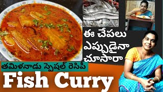 KING OF RIBBON FISH Curry  Chepala koora Recipe in Telugu  Rare Fish Amazing Taste Pavithra [upl. by Ennaid]