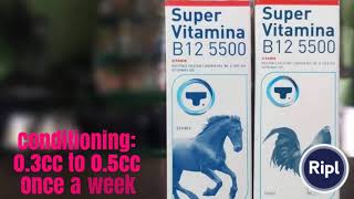 SUPERVITAMINA B12 5500 GAMEFOWL CONDITIONING GUIDE [upl. by Hayidan346]