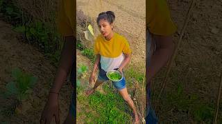 Punam aaj palak kat rahi hai shortvideo bhojpuri tannuyadav bhojpurisong viralvideo tranding [upl. by Bate943]