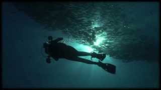 Scuba diving in Sipadan Sabah Borneo Malaysia Celebes Sea hd 2012 Part I [upl. by Llertnac]