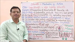 Diuretic Part 07 Loop Diuretic Mechanism of Action  High Ceiling Diuretics  Diuretic Drugs [upl. by Brezin323]