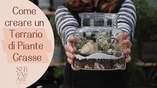 Creazione Terrario Piante Grasse con il Kit Fai Da Te Serramare [upl. by Lily]