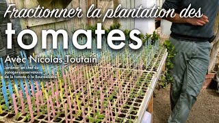 La collection de tomates du château de la Bourdaisière et le fractionnement dans nos jardins [upl. by Alad710]