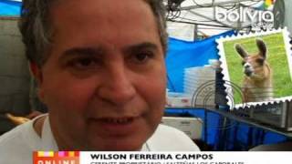 Wilson Ferreira  Salteñas Los Caporales [upl. by Tandie843]