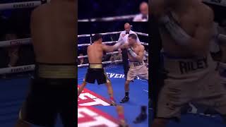 Catterall vs Prograis R6 Highlights boxing [upl. by Eiralih]