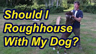 Should you roughhouse with your dog [upl. by Garate841]