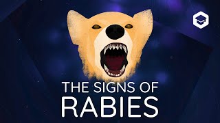 A master of deception  the signs of rabies in dogs [upl. by Darreg450]