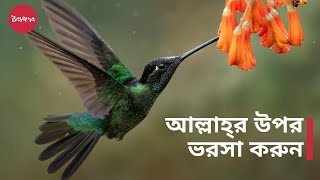 আল্লাহ্‌র উপর ভরসা করুন  দুশ্চিন্তা ও ঋণ থেকে মুক্তি  শায়খ মুখতার আশশানক্বিতি [upl. by Gothurd]