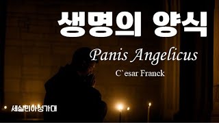 생명의양식 Panis angelicus세실리아성가대객원첼로 Marcellinus Lee [upl. by Nnylarej]