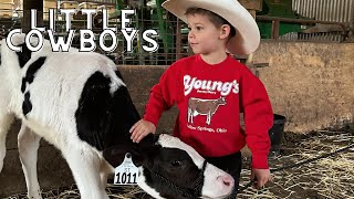 Little Cowboys Get to know Their NEW cows KIDS ON FARMCATTLETRACTOR STORETOYSANIMALSLEARNING [upl. by Raquela]