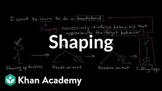 Operant conditioning Shaping  Behavior  MCAT  Khan Academy [upl. by Warner]