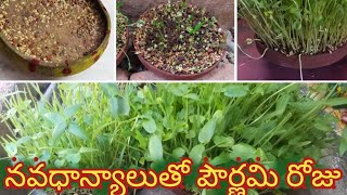 pournamipoojaనవధాన్యాలుతో పౌర్ణమి రోజు ఇలా చేస్తేnavadhanyalu in teluguనవగ్రహాలు పూజ at home [upl. by Dnumsed277]