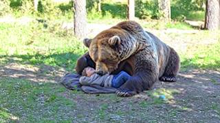 Grizzly Bear Kills amp Devours Entire Family on September 11th 2024 [upl. by Namlak]