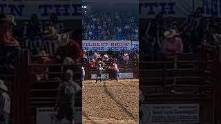 Angola Bull Riding [upl. by Luigi894]