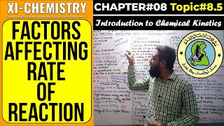 85 Factors Affecting Rate of Reaction  CH8  Chemical Kinetics  Sindh Board [upl. by Hanikahs894]