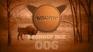 Bisonn Roundup Mix 006 Bass House  Tech House [upl. by Melborn]