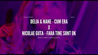 Delia ❌ Nane ❌ Nicolae Guta  quotCUM ERA  FARA TINE SUNT OKquot REMIX ProdElGordo [upl. by Nerrej]