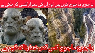 Yajooj Majooj Kon Hain Or In Ka Nazool Kb Hoga  Real Story Of Yajooj Majooj  Urdu Hindi [upl. by Aigil]