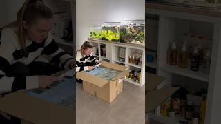 TETRA Unboxing aquarium aquascaping fishtank aquascape plantedaquarium fish [upl. by Montagu880]