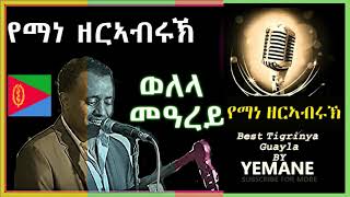 Yemane Zerabruk Eritrean music Live on stage Hot Guyla ጓይላ 2024 Welela MeArey [upl. by Richmal724]