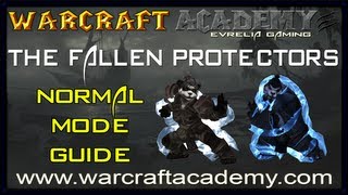 The Fallen Protectors Normal Guide  Siege of Orgrimmar  Warcraft Academy [upl. by Brabazon]